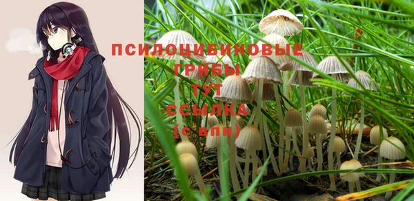 кокс Медвежьегорск